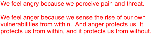 We feel angry because we perceive pain and threat.   We feel anger because we sense the rise of our own vulnerabilities from within.  And anger protects us. It protects us from within, and it protects us from without.